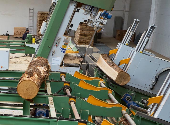 cutting-logs-into-planks-with-laser-guided-reducer-band-saw-to-be-sent-to-dryer